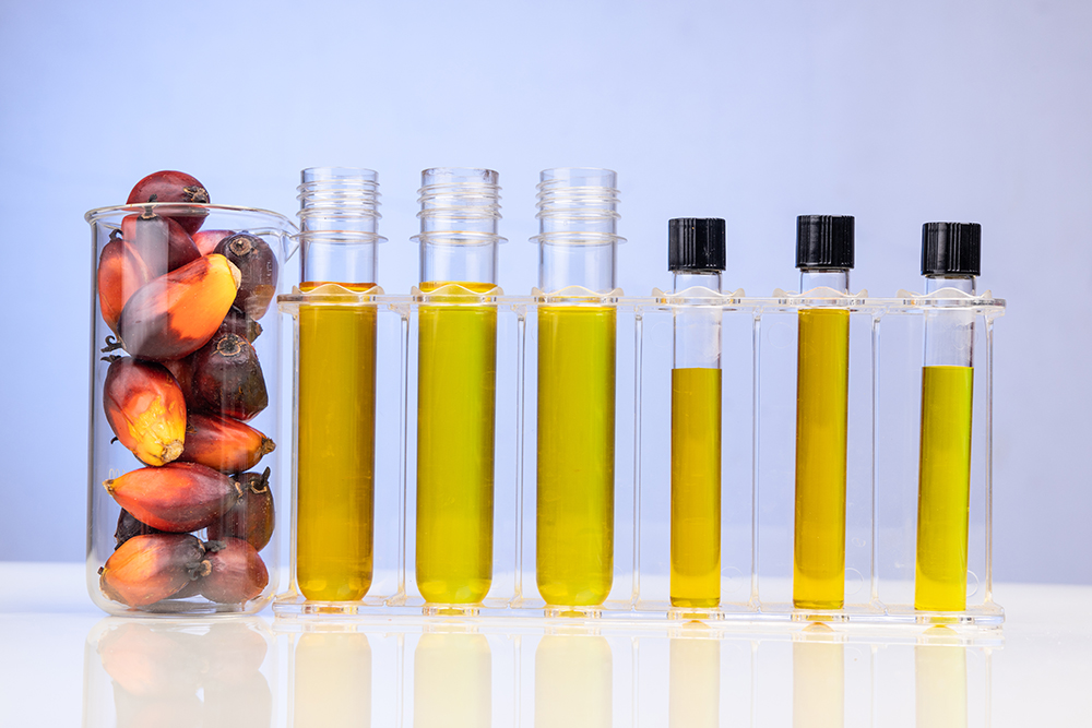 Oil palm fruits with biofuel in beaker test tubes in laboratory in blue background